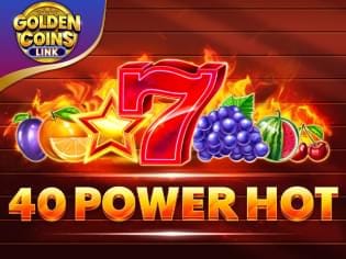 40 Lucky Wilds Hot Golden Coins Link game icon