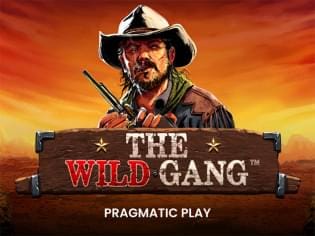 The Wild Gang game icon